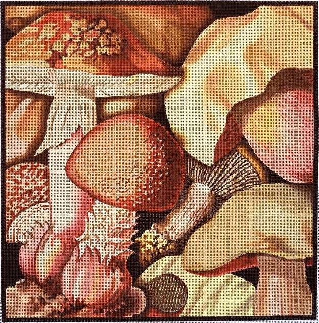 433 Mushrooms 2
