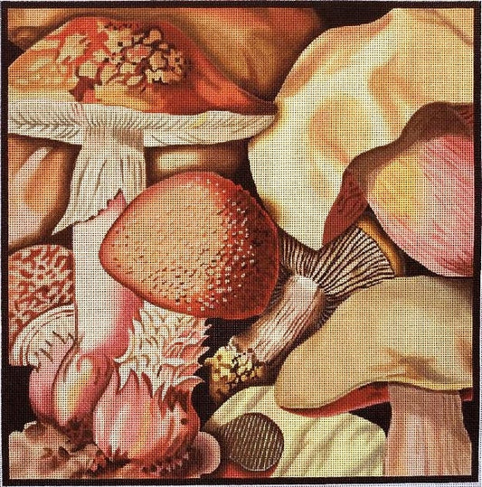 433 Mushrooms 2