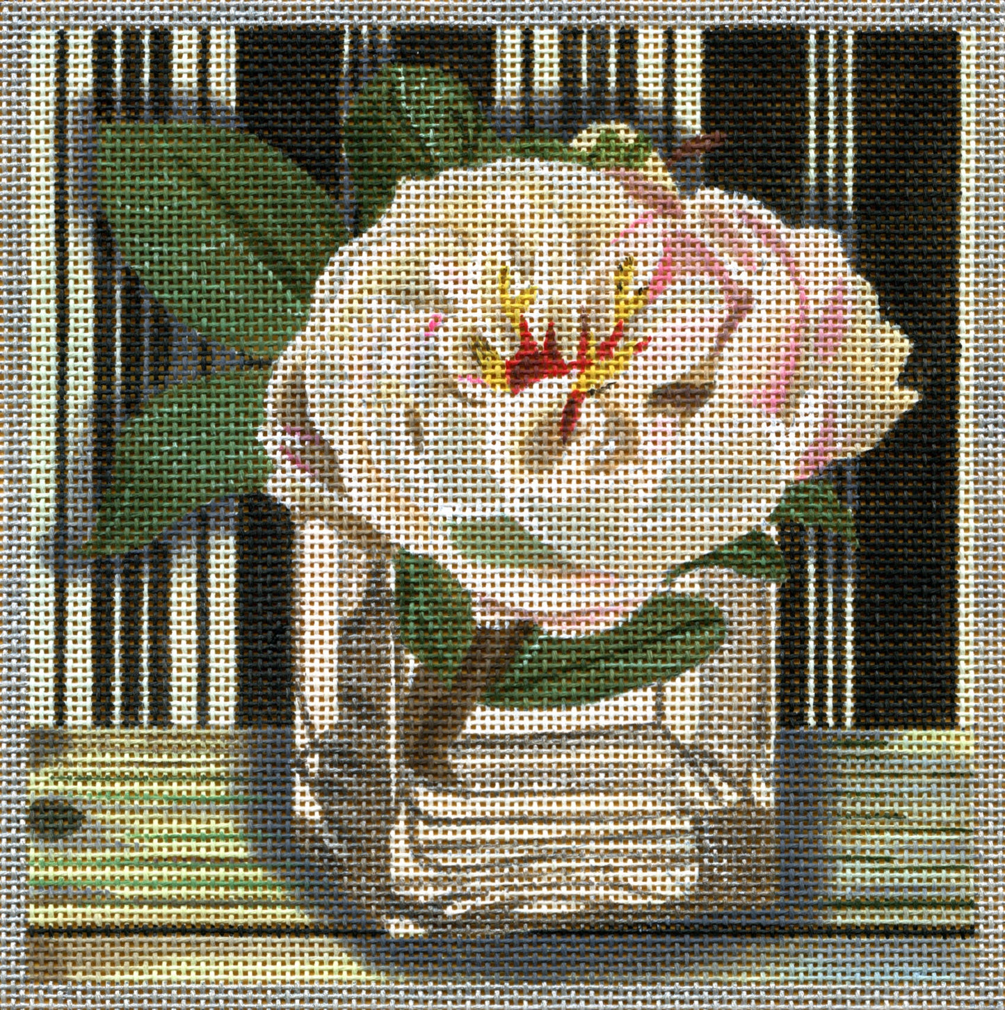 805c White Peony